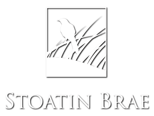 Stoatin Brae